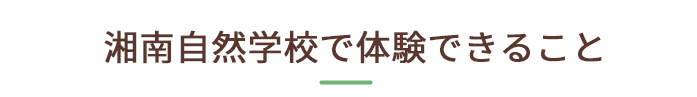 湘南自然学校で体験できること